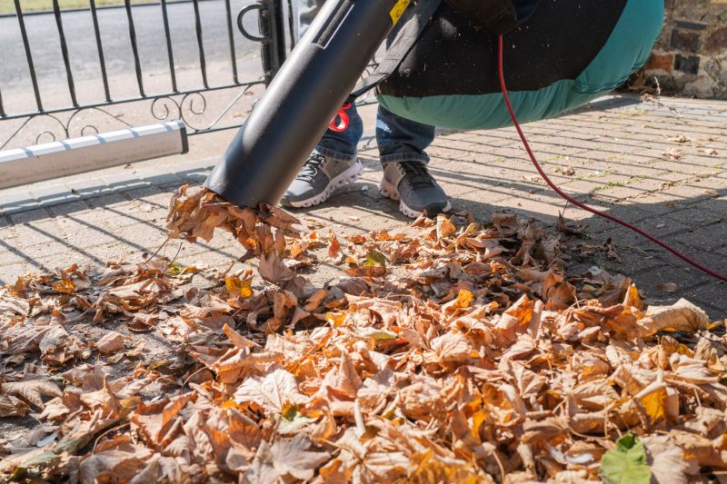 Clean Yard with Mulched Leaves